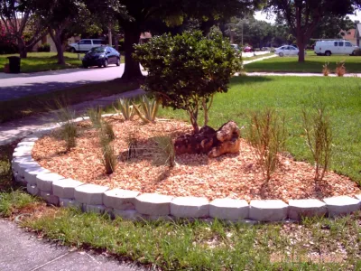 Advantage Landscape - Tree & Shrub Care in Clermont, FL