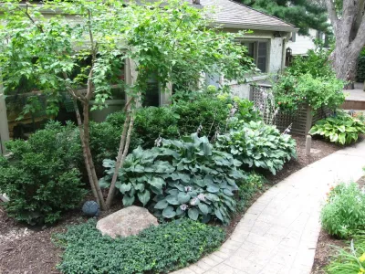 Aesthetics, Inc. - Tree & Shrub Care in Denton, NE