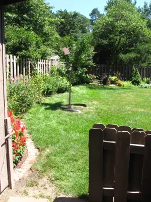 Pat and Max Maintenance — Landscape Construction project by Aesthetics, Inc. in Lincoln