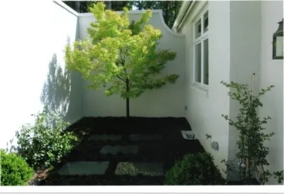 Agricultural Services - Landscape Maintenance in Birmingham, AL
