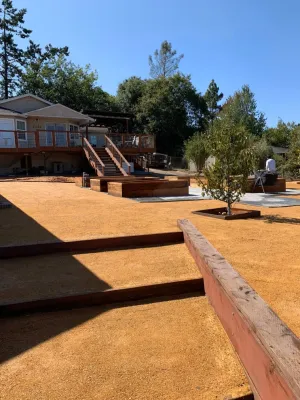 Blue Cypress Landscaping Inc - Drought-Resistant Lawn Installation in Petaluma, CA