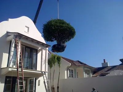 Aiello Landscape, Inc. of Hobe Sound. - Garden Remodeling in Hobe Sound, FL