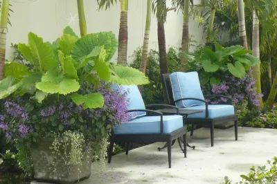 Aiello Landscape, Inc. of Hobe Sound. - Garden Remodeling in Hobe Sound, FL