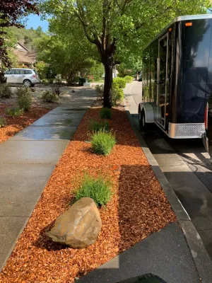 Blue Cypress Landscaping Inc - Drought-Resistant Lawn Installation in Petaluma, CA