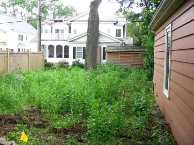 Alan Horticulture, LLC - Landscape Maintenance in Warrenville, IL