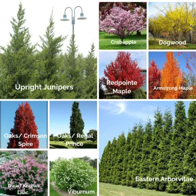 Alan Horticulture, LLC - Landscape Maintenance in Warrenville, IL