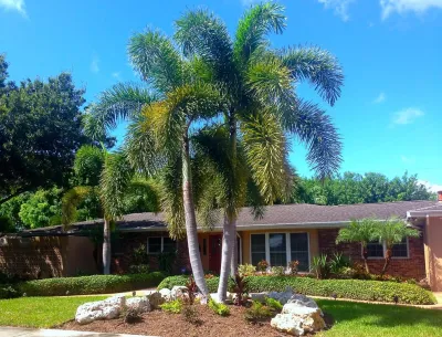 Albright Landscaping - Outdoor Lighting Installation in Palmetto, FL