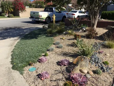 Low water garden by Alford's English Gardens Inc