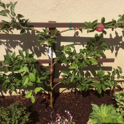 Alford's English Gardens Inc - Sprinkler Installation & Repair in Signal Hill, CA