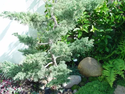 Linda's Zen Garden — Landscape Construction project by Alford's English Gardens Inc in Huntington Beach