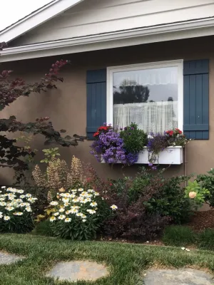 Cottage garden — Landscape Construction project by Alford's English Gardens Inc in Long Beach