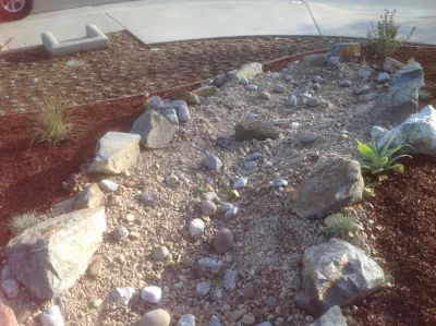 Low water gardens in Lake Forest. Front garden is easy care with beautiful Calif by Alford's English Gardens Inc