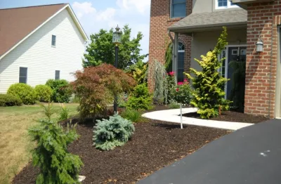 Davis Landscape Ltd - Landscape Maintenance in Raleigh, NC