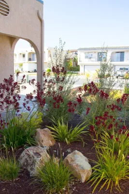 All Seasons Gardening and Landscaping - Landscape Maintenance in Arroyo Grande, CA