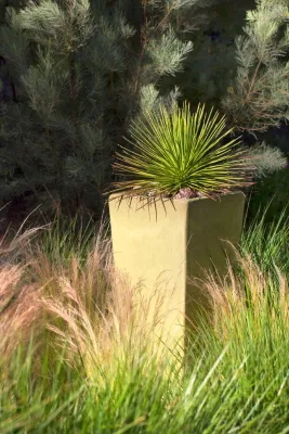 All Seasons Gardening and Landscaping - Landscape Maintenance in Arroyo Grande, CA