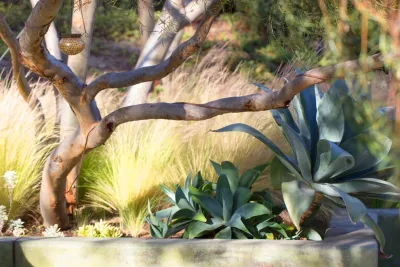 All Seasons Gardening and Landscaping - Landscape Maintenance in Arroyo Grande, CA