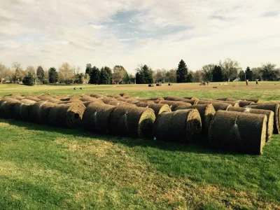 University of Northern Colorado — Landscape Construction project by All Terrain Landscaping in Greeley