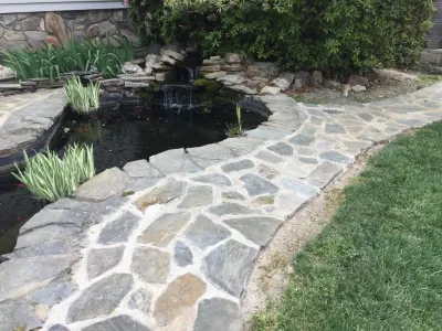 Alliance Landscapes, LLC - Tree & Shrub Care in Raleigh, NC