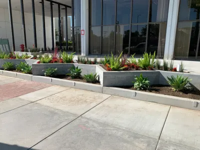 Sherman Oaks Commercial Building — Landscape Construction project by Allstate Landscape & Southwest Greens in Los Angeles