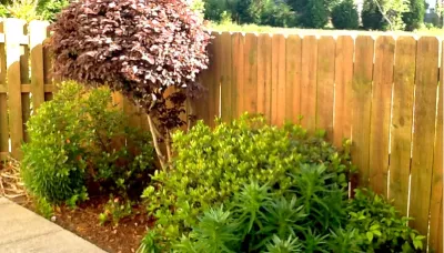 Alpha Total Landscaping services - Lawn Care & Mowing in Mableton, GA