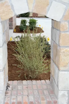 ALPINE Landscaping & Irrigation, LLC - Outdoor Lighting Installation in Edmond, OK