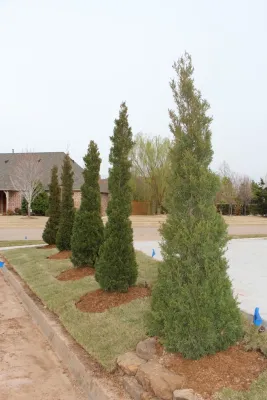 ALPINE Landscaping & Irrigation, LLC - Outdoor Lighting Installation in Edmond, OK