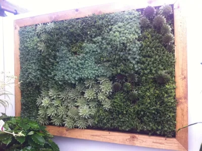 Living Walls by Altera Landscape