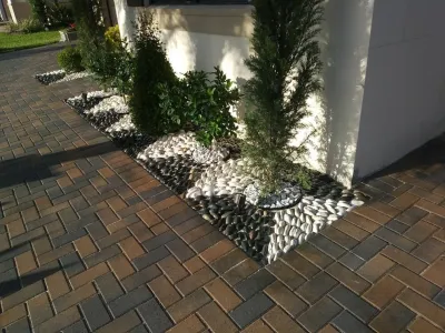 Amazon Landscapes Group - Lawn Aeration in Weston, CO