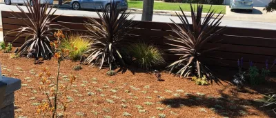 Blue Hibiscus Gardens - Drip Irrigation System Installation in Sunnyvale, CA