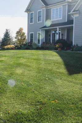 Ambler Industries llc - Leaf Removal & Cleanup in Furlong, PA