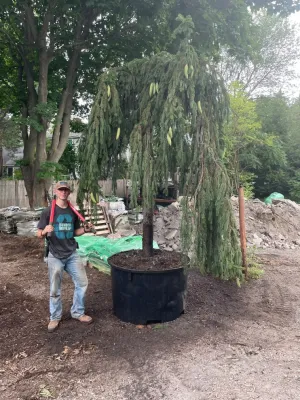 American Landscape INC. - Retaining Wall Construction in Sharon, MA