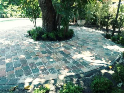 Anderson Landscaping Inc - Sidewalk & Pathway Installation in Homestead, FL
