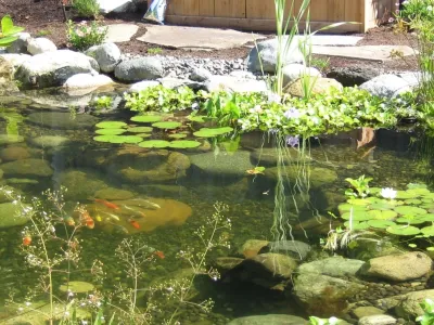 AquaLife Ponds Inc. - Landscape Construction in Newport Beach, CA