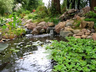 Aquastonia - Landscape Construction in Hawthorn Woods, IL