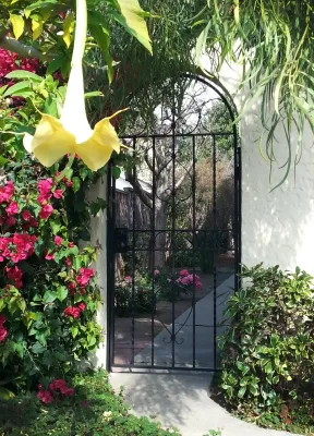 Arca Design Group, INC. - Tree & Shrub Care in Albany, CA
