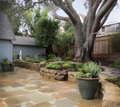 Arca Design Group, INC. - Tree & Shrub Care in Albany, CA