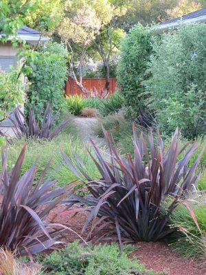 Arca Design Group, INC. - Tree & Shrub Care in Albany, CA