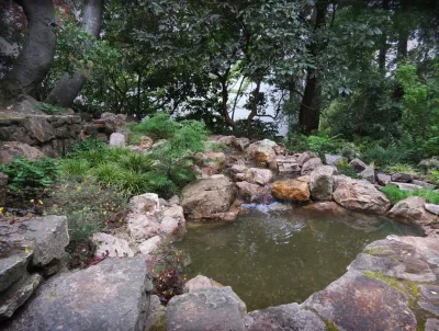 Arca Design Group, INC. - Tree & Shrub Care in Albany, CA
