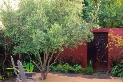 Arca Design Group, INC. - Tree & Shrub Care in Albany, CA