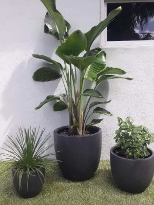 Contemporary planters — Landscape Construction project by Artisan Landscapes