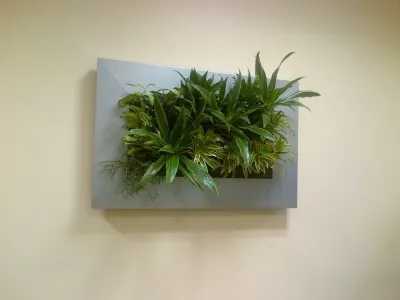 Living walls — Landscape Construction project by Artisan Landscapes