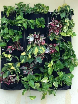Artisan Landscapes - Landscape Maintenance in Wilton Manors, FL