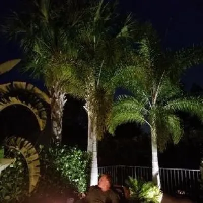 Landscape Lighting — Landscape Construction project by Artisan Landscapes