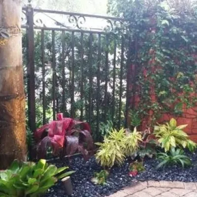 Fort Lauderdale Courtyard — Landscape Construction project by Artisan Landscapes
