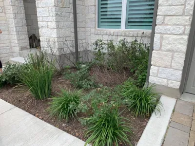 Ashley's landscaping & Services - Tree Planting & Transplanting in Gatesville, TX