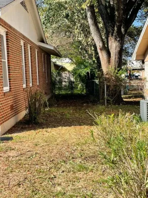 Ashley's landscaping & Services - Tree Planting & Transplanting in Gatesville, TX