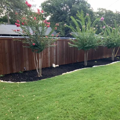 Ashley's landscaping & Services - Tree Planting & Transplanting in Gatesville, TX