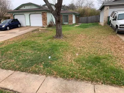 Ashley's landscaping & Services - Tree Planting & Transplanting in Gatesville, TX