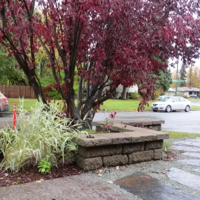 Stepping Stone Pathway — Kitchen Remodeling project by Skyline Remodeling