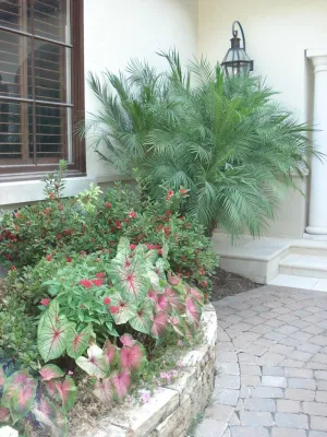 Austin Landscaping - Irrigation System Repair in Houston, TX